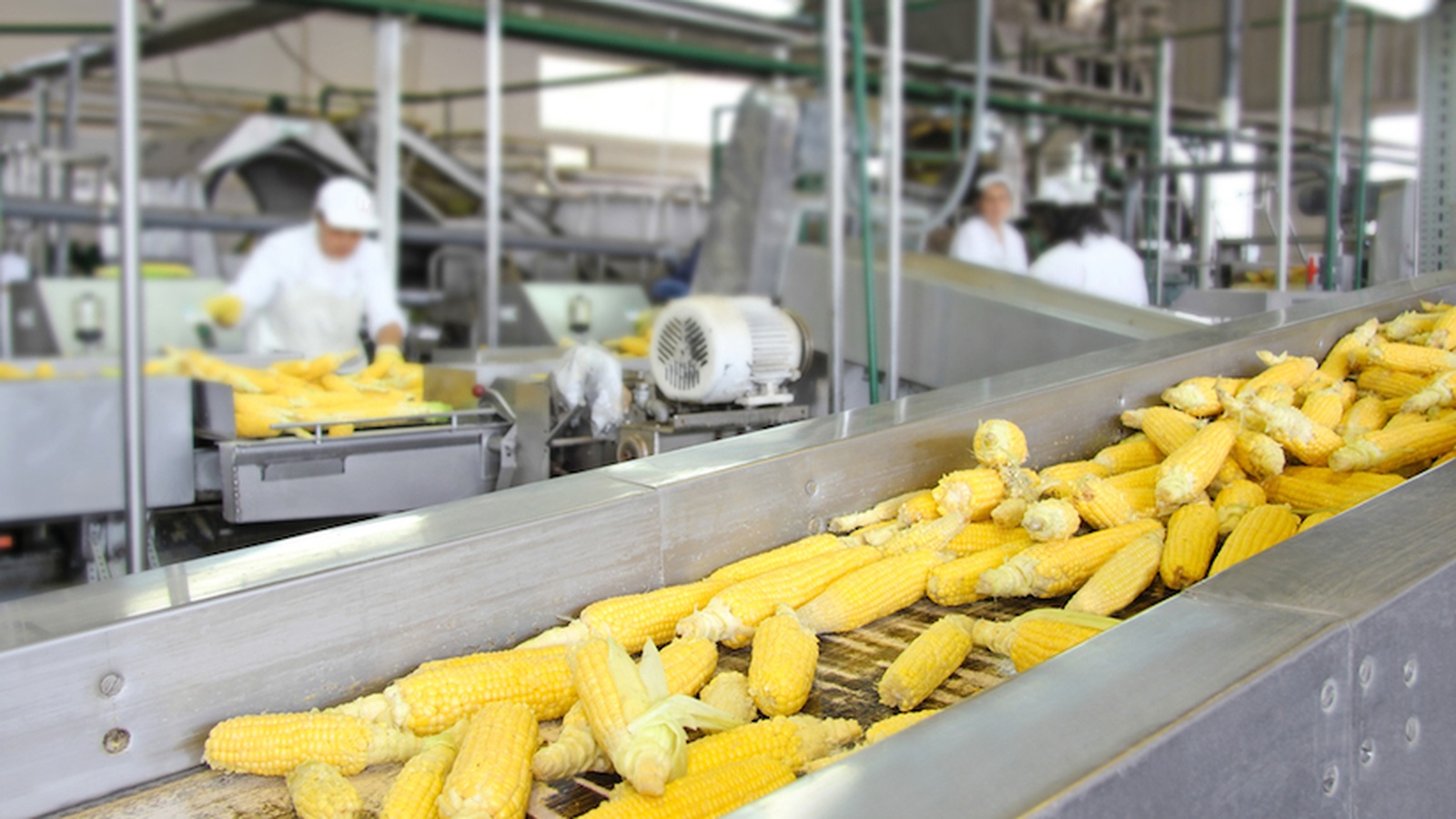 Dirty Secrets Of The Food Processing Industry FOOD MATTERS 