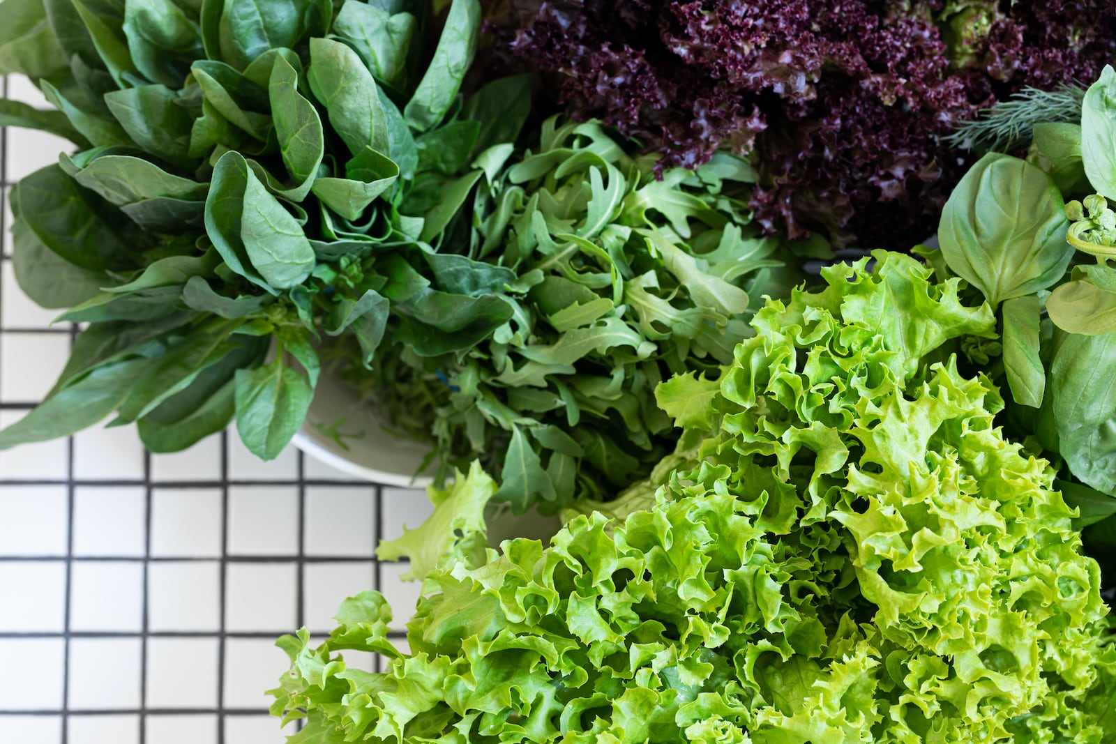 Is Your Salad Safe? A Guide to Leafy Greens • The View from Great