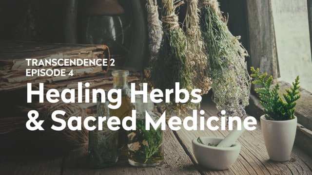 Episode 4: Healing Herbs & Sacred Medicine