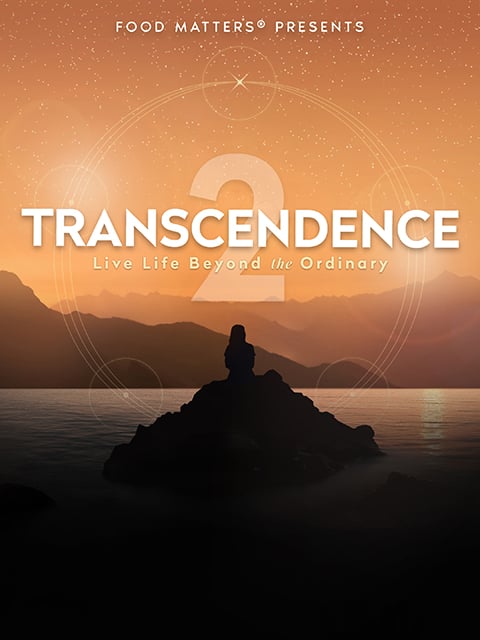 Transcendence 2